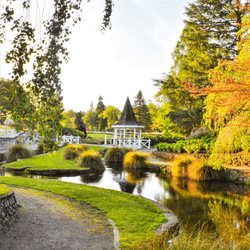 项目媒体占位符