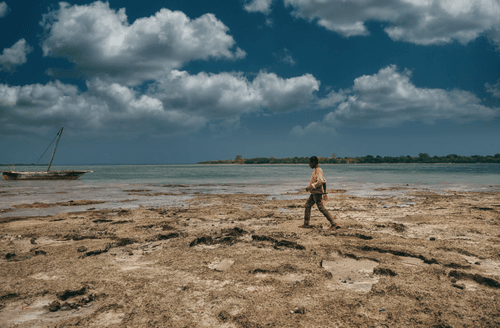 Zanzibar's Kids #40