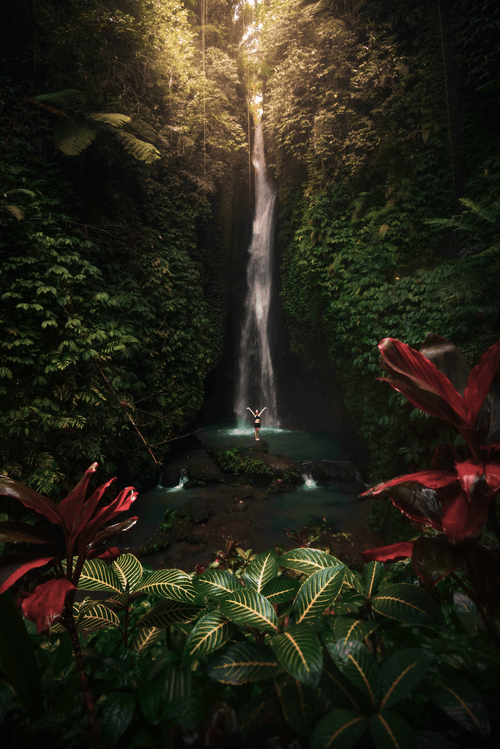 nature never goes out of style #6