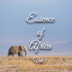 Essence of Africa collection image