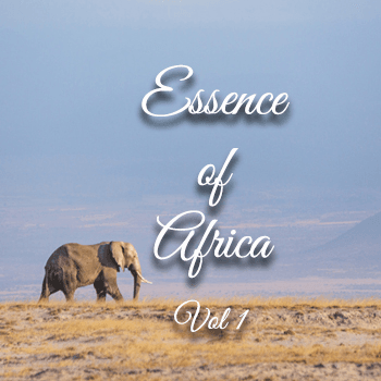 Essence of Africa - Vol 1