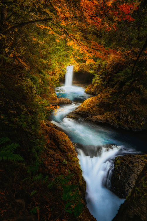 PNW Treasures