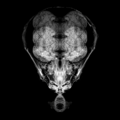 Alien Embryo - 192 of 2000