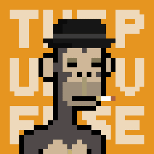 Apes bore punkverse