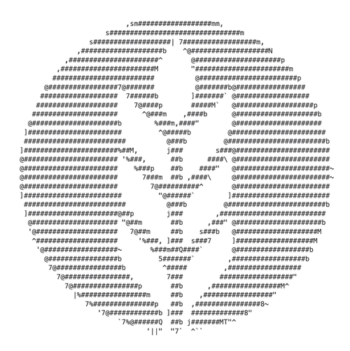 The Field Editions - Alex Bartsch