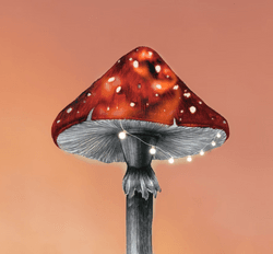 Mushroom Picking Season by Karina Eibatova collection image
