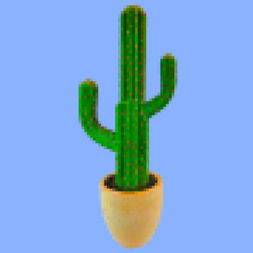 Cactus