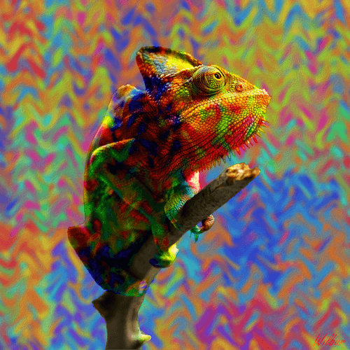 Vibrant Chameleon