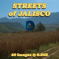 Streets of Jalisco collection image