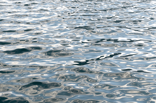 "Definitely the Best Water Picture”