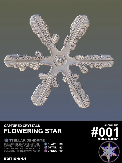 Captured Crystals #001 - Flowering Star