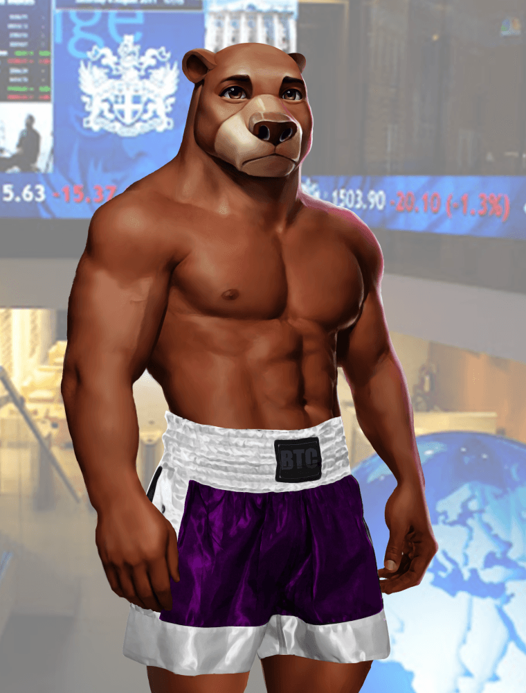 Wall Street Avatar Fighter Bear #163