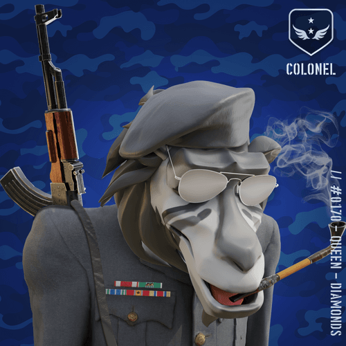Surprised Black Colonel Baboon #170