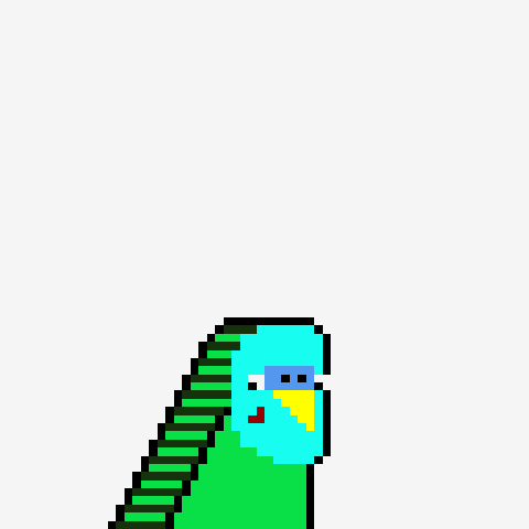 Budgie #368