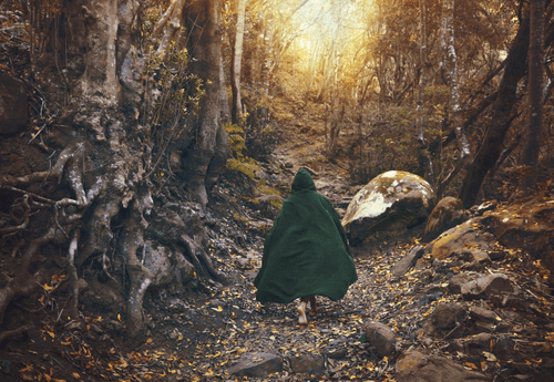 Masha Lince Art Photography