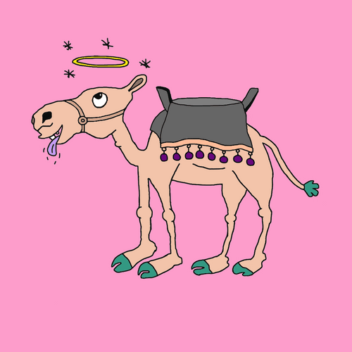 Chilled Camels