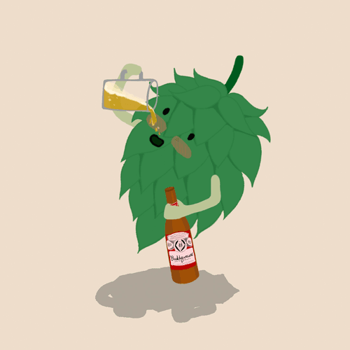 Beer