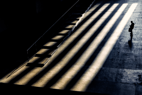 Tate 13