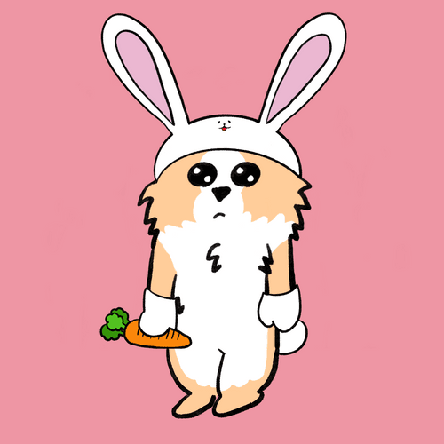 Chihuahua and Rabbit #070