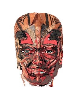 The Faces of COVID collection image