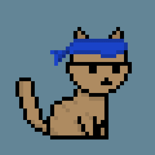 PunkCat #4000