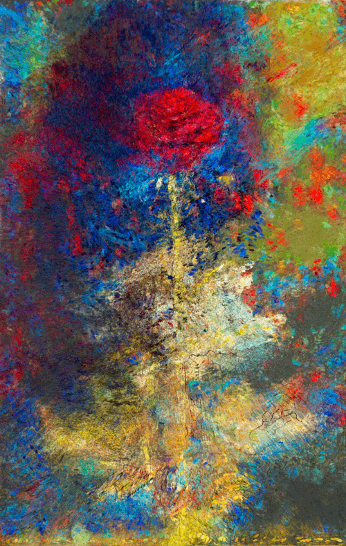Lonely Rose