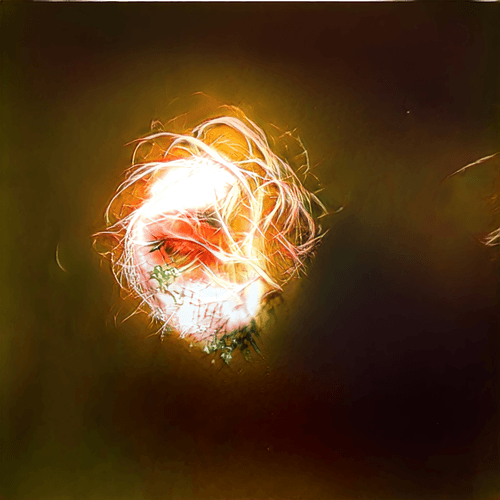 GodEye  #3