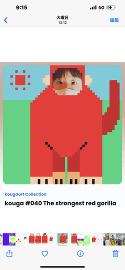 kouga collection image