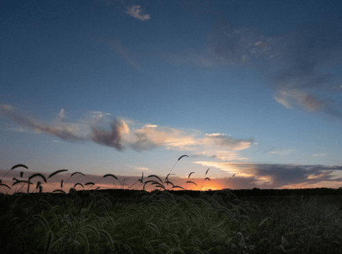 Honoring the Ancient Prarie