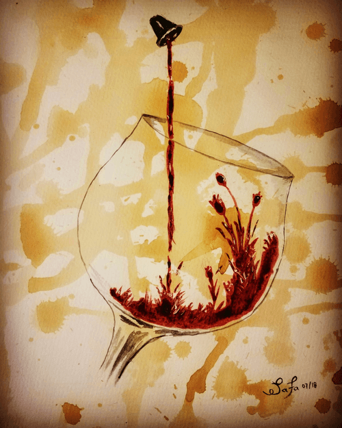 Wine Stories