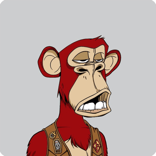 Bored Ape Motorcyle Club