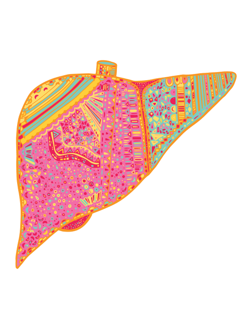 Liver #81