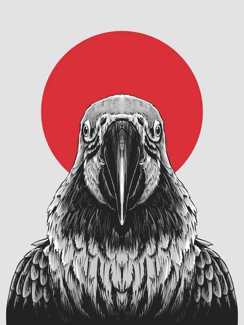Beo Macaw