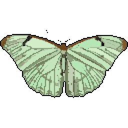Papilio Butterfly