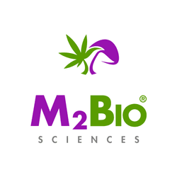 M2Bio Sciences Psychedelic Surfboards - Made with Hemp & Mycelium collection image