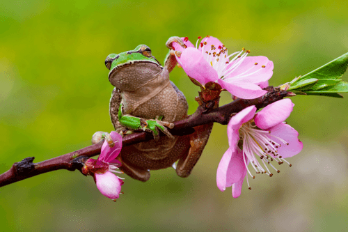 spring time