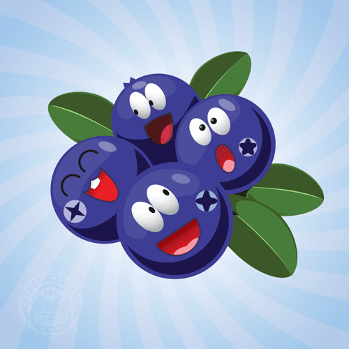 The Blueberries