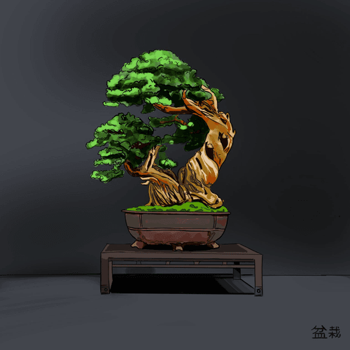 Bonsai Tree