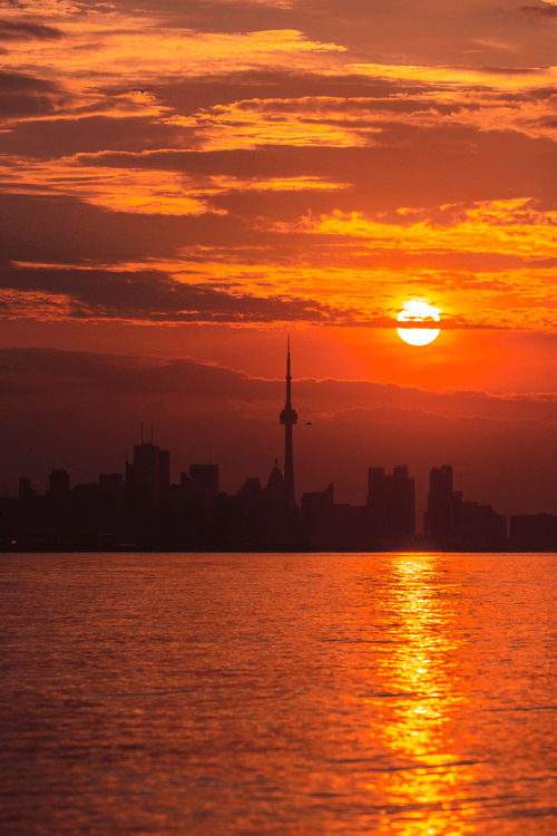 Toronto: A City of Colour