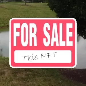 For Sale, This NFT