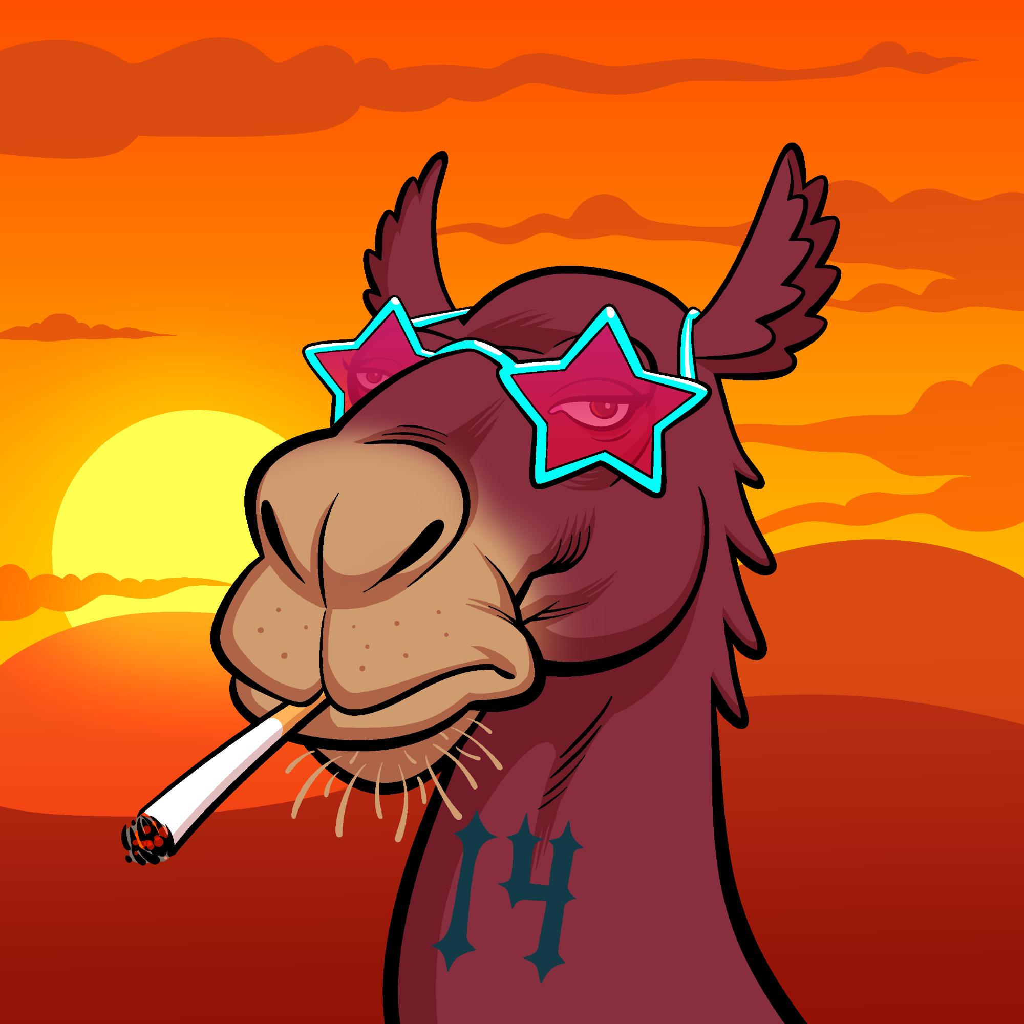 Arabian Camel #9858