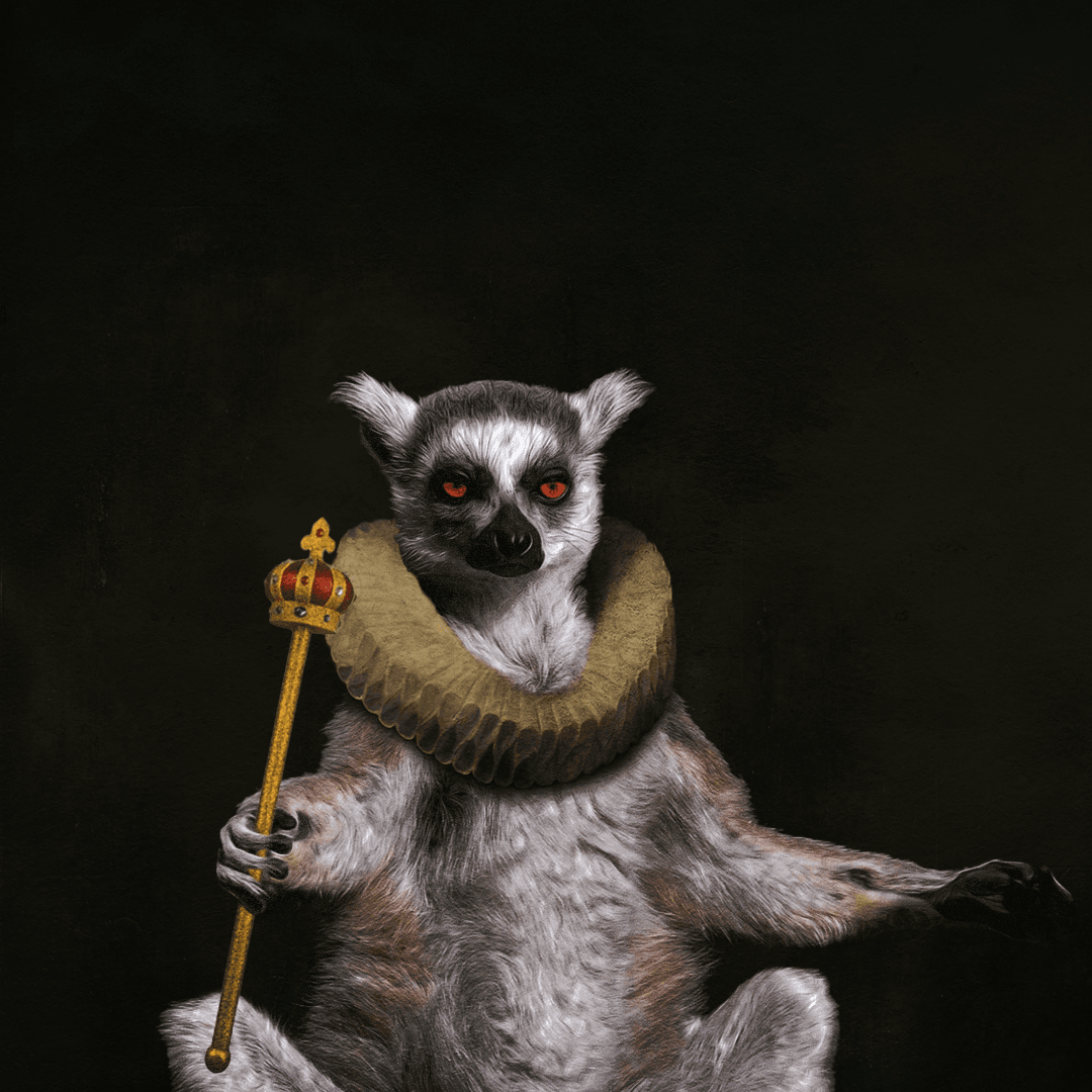 French_Lemur