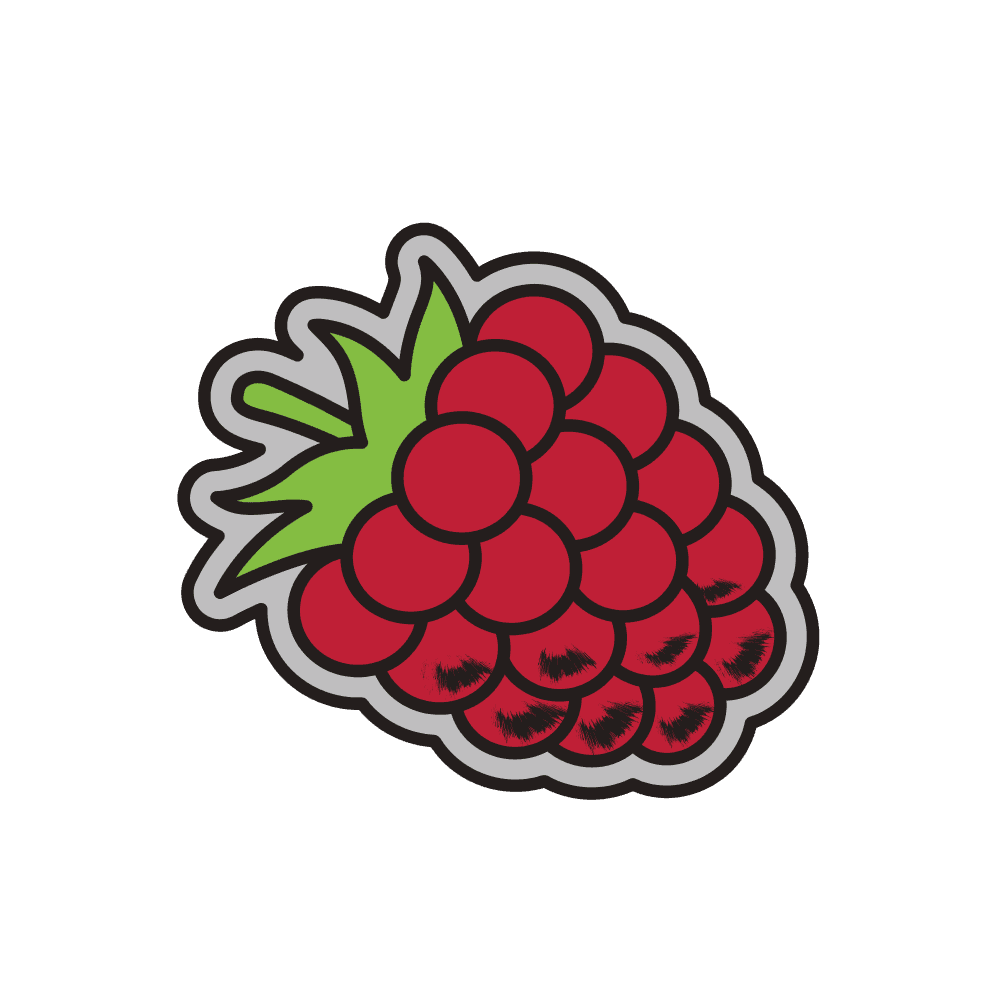 #8 Raspberry