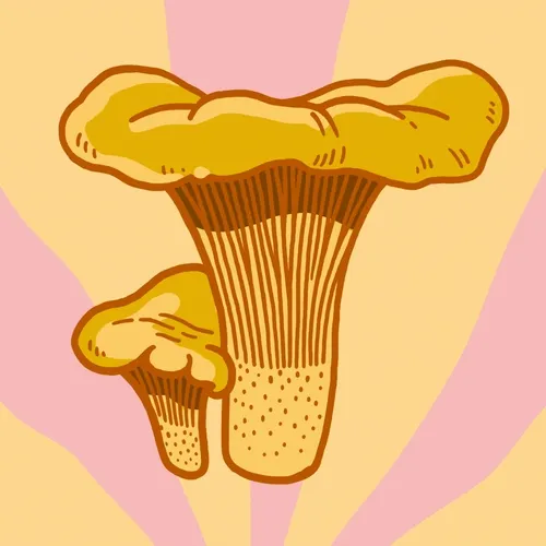 Dirty S3 Chanterelle
