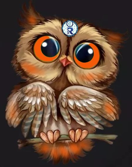 OWL-Orange