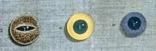 Orb010