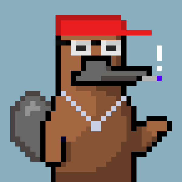 Platy Punk #527