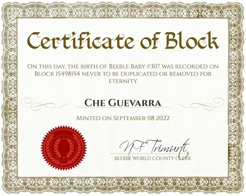 Certificate for Che Guevarra #307