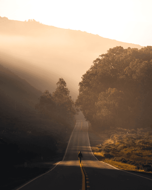 Morning rays