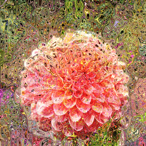 Dahlia distortion #21